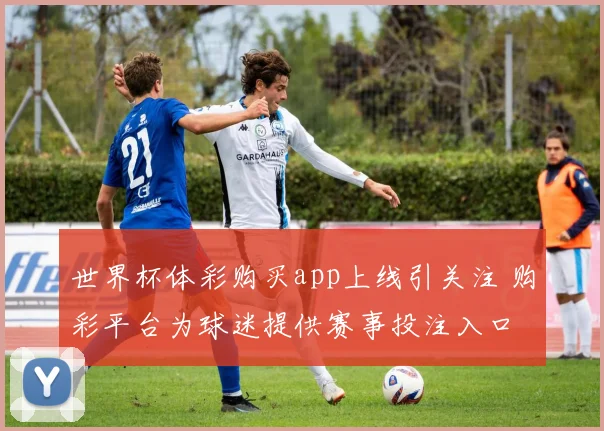 世界杯体彩购买app上线引关注 购彩平台为球迷提供赛事投注入口