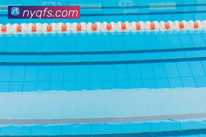 星空体育综合体育官网入口APP 封面图